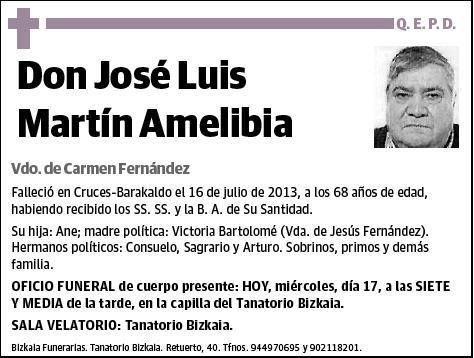 MARTIN AMELIBIA,JOSE LUIS