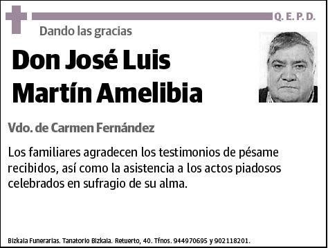 MARTIN AMELIBIA,JOSE LUIS