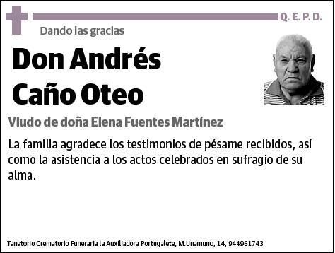 CAÑO OTEO,ANDRES