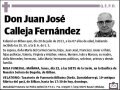 CALLEJA FERNANDEZ,JUAN JOSE