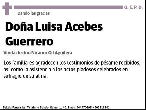 ACEBES GUERRERO,LUISA