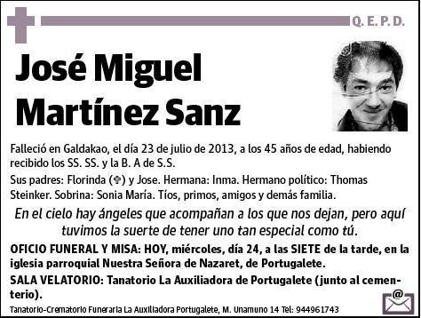 MARTINEZ SANZ,JOSE MIGUEL