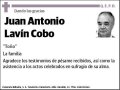 LAVIN COBO,JUAN ANTONIO