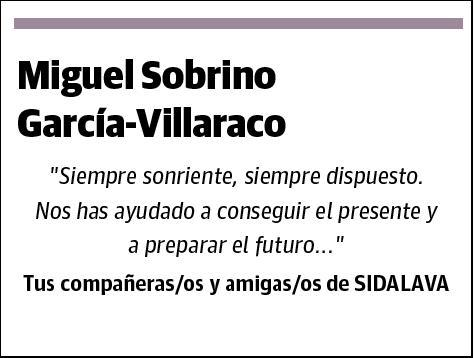 SOBRINO GARCIA-VILLARACO,MIGUEL