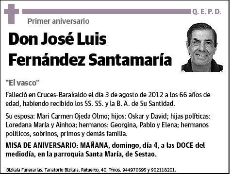 FERNANDEZ SANTAMARIA,JOSE LUIS