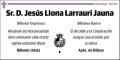LLONA LARRAURI,JESUS