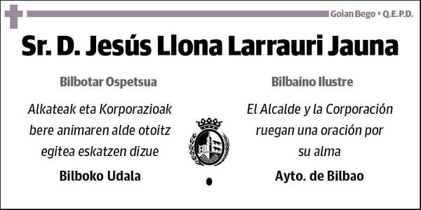 LLONA LARRAURI,JESUS