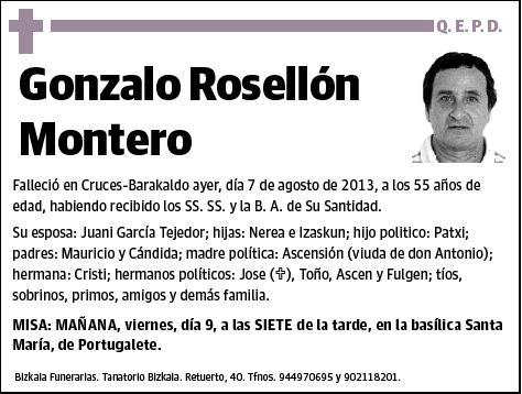 ROSELLON MONTERO,GONZALO