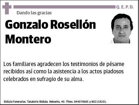 ROSELLON MONTERO,GONZALO