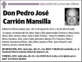 CARRION MANSILLA,PEDRO JOSE