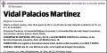 PALACIOS MARTINEZ,VIDAL