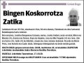 KOSKORROTZA ZATIKA,BINGEN
