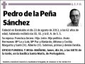 DE LA PEÑA SANCHEZ,PEDRO