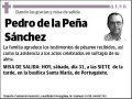 DE LA PEÑA SANCHEZ,PEDRO