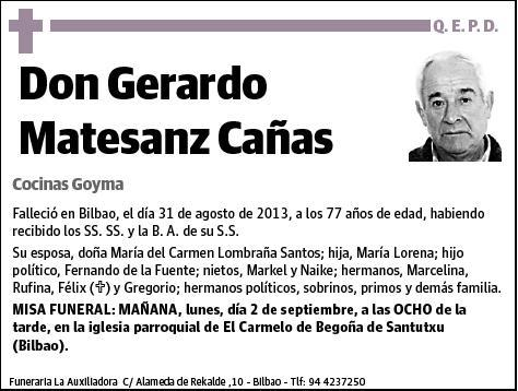 MATESANZ CAÑAS,GERARDO