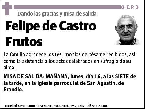 DE CASTRO FRUTOS,FELIPE