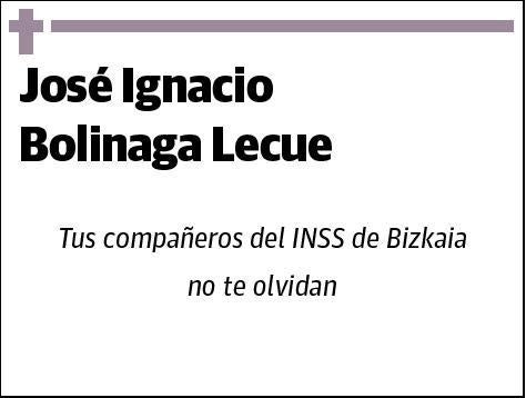 BOLINAGA LECUE,JOSE IGNACIO