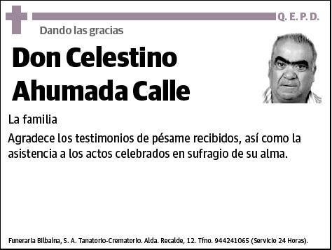 AHUMADA CALLE,CELESTINO