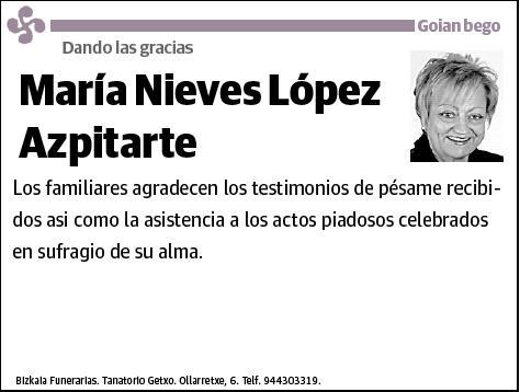 LOPEZ AZPITARTE,MARIA NIEVES