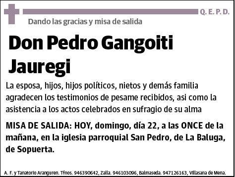 GANGOITI JAUREGI,PEDRO