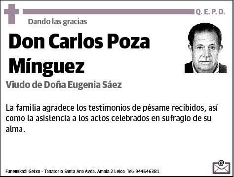 POZA MINGUEZ,CARLOS