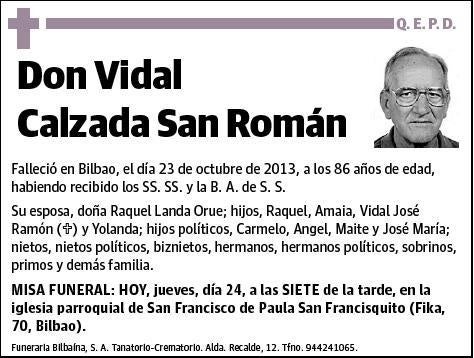 CALZADA SAN ROMAN,VIDAL