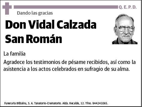 CALZADA SAN ROMAN,VIDAL