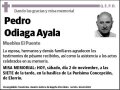 ODIAGA AYALA,PEDRO