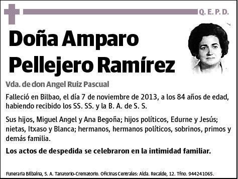 PELLEJERO RAMIREZ,AMPARO