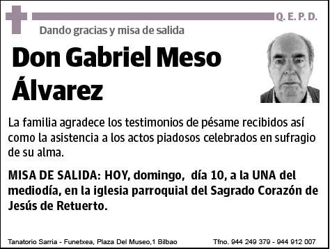 MESO ALVAREZ,GABRIEL