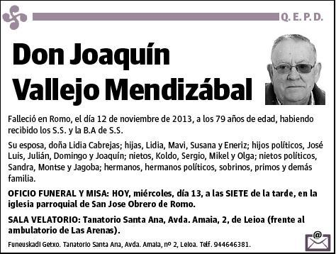 VALLEJO MENDIZABAL,JOAQUIN