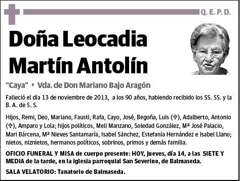 MARTIN ANTOLIN,LEOCADIA