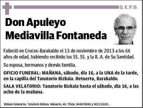 MEDIAVILLA FONTANEDA,APULEYO