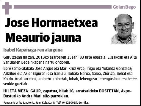 HORMAETXEA MEAURIO,JOSE