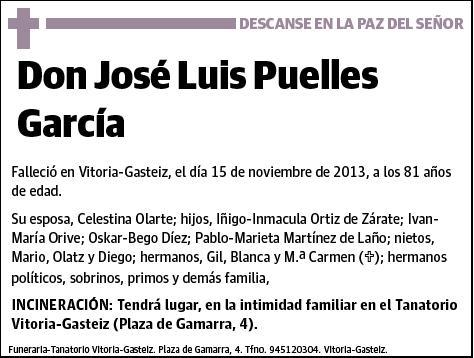 PUELLES GARCIA,JOSE LUIS