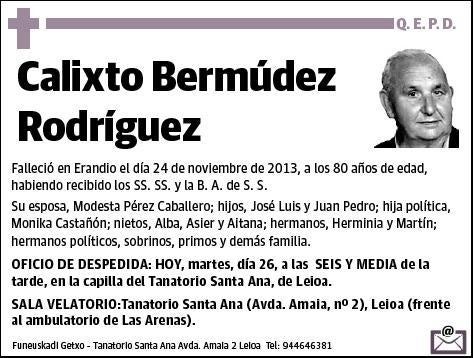 BERMUDEZ RODRIGUEZ,CALIXTO