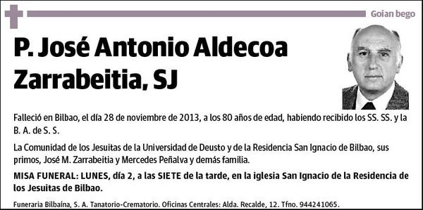 ALDECOA ZARRABEITIA,P. JOSE ANTONIO