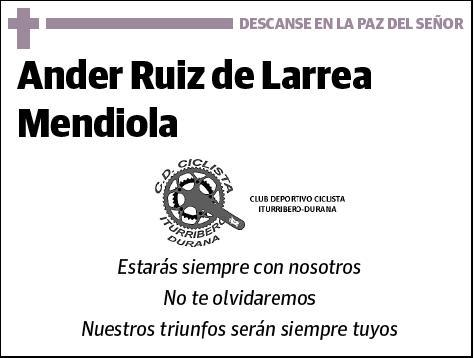 RUIZ DE LARREA MENDIOLA,ANDER