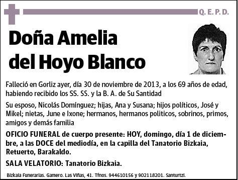 DEL HOYO BLANCO,AMELIA