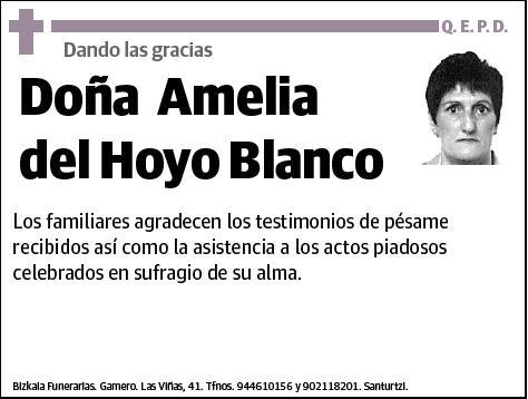 DEL HOYO BLANCO,AMELIA