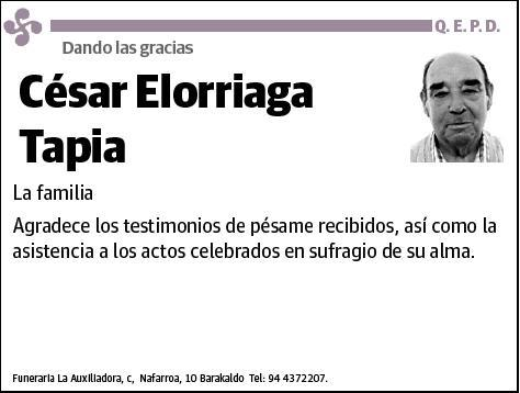 ELORRIAGA TAPIA,CESAR