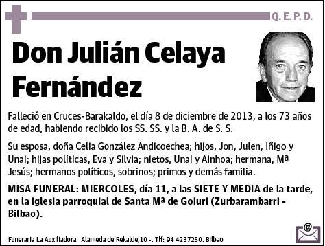 CELAYA FERNANDEZ,JULIAN