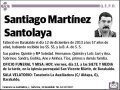MARTINEZ SANTOLAYA,SANTIAGO