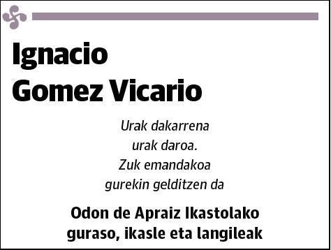 GOMEZ VICARIO,IGNACIO