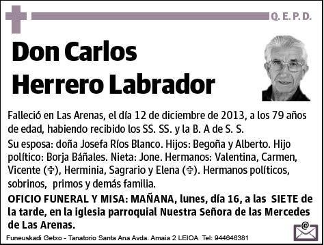 HERRERO LABRADOR,CARLOS