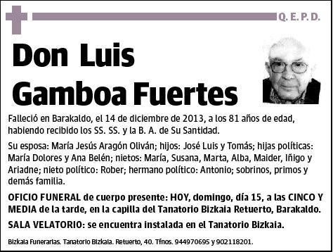 GAMBOA FUERTES,LUIS