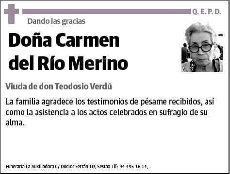 DEL RIO MERINO,CARMEN