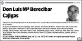 BERECIBAR CAJIGAS,LUIS Mª