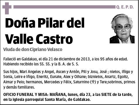 DEL VALLE CASTRO,PILAR