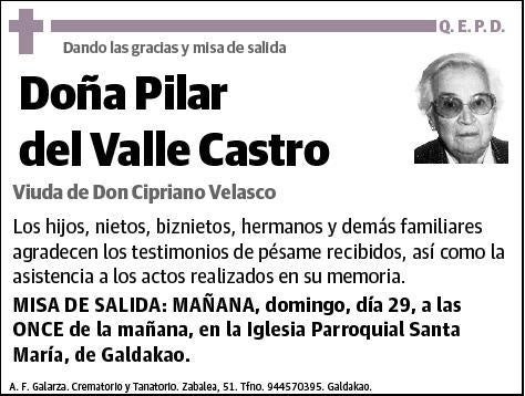 DEL VALLE CASTRO,PILAR